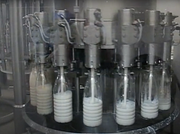 Milk filling line