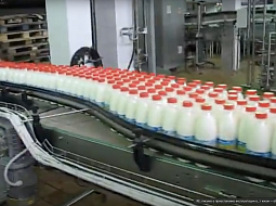 Milk production